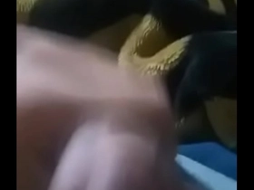55 41 9726-3083