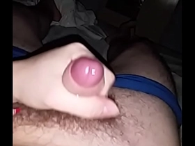 Pajas 3.0